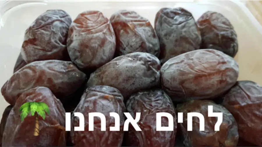 Close-up of moist dates with the Hebrew words meaning: We are moist